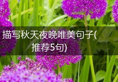 描写秋天夜晚唯美句子(推荐5句)