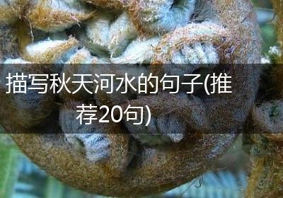描写秋天河水的句子(推荐20句)