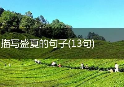 描写盛夏的句子(13句)