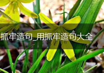抓牢造句_用抓牢造句大全