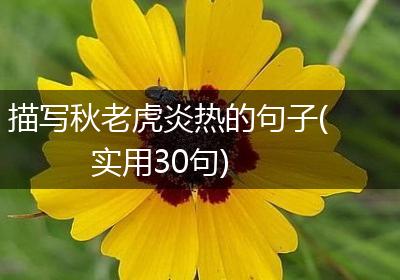 描写秋老虎炎热的句子(实用30句)
