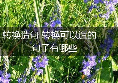 转换造句 转换可以造的句子有哪些