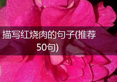 描写红烧肉的句子(推荐50句)