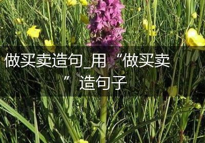 做买卖造句_用“做买卖”造句子