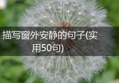 描写窗外安静的句子(实用50句)
