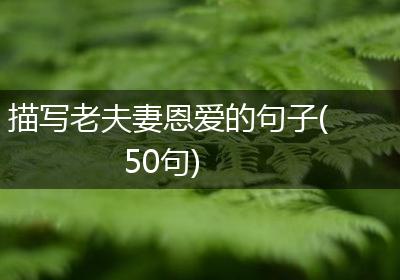 描写老夫妻恩爱的句子(50句)