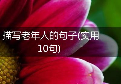 描写老年人的句子(实用10句)