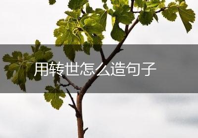用转世怎么造句子