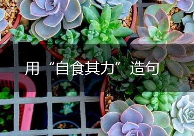 用“自食其力”造句