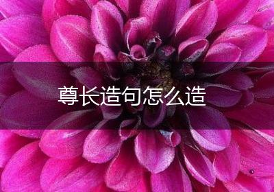尊长造句怎么造