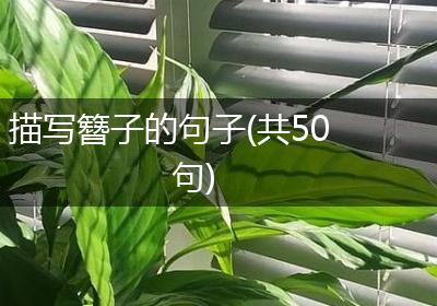 描写簪子的句子(共50句)