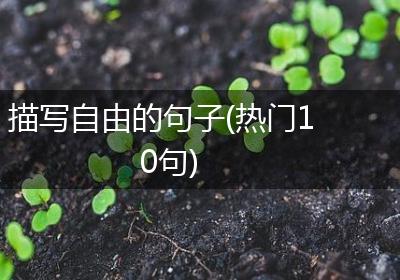 描写自由的句子(热门10句)