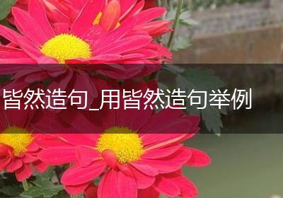 皆然造句_用皆然造句举例