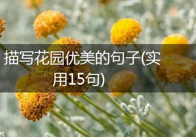 描写花园优美的句子(实用15句)