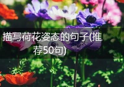 描写荷花姿态的句子(推荐50句)
