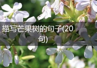 描写芒果树的句子(20句)