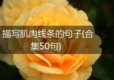 描写肌肉线条的句子(合集50句)