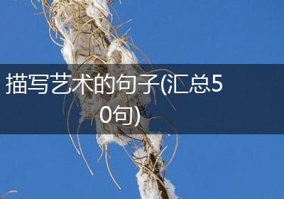 描写艺术的句子(汇总50句)
