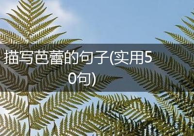 描写芭蕾的句子(实用50句)