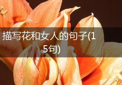 描写花和女人的句子(15句)