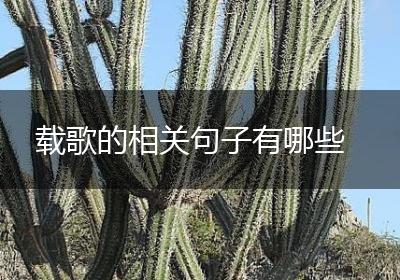 载歌的相关句子有哪些