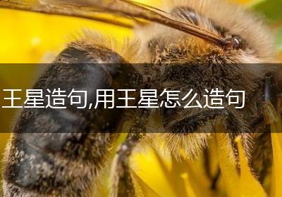 王星造句,用王星怎么造句