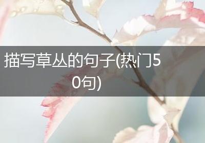 描写草丛的句子(热门50句)