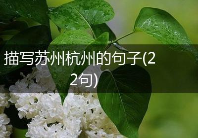 描写苏州杭州的句子(22句)