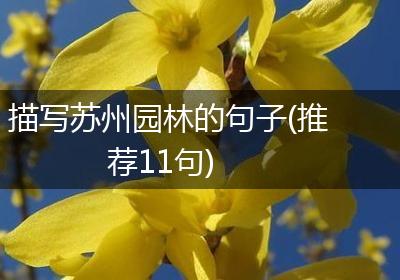 描写苏州园林的句子(推荐11句)