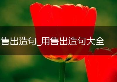 售出造句_用售出造句大全
