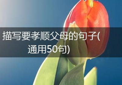 描写要孝顺父母的句子(通用50句)