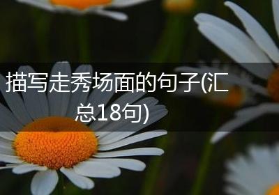 描写走秀场面的句子(汇总18句)