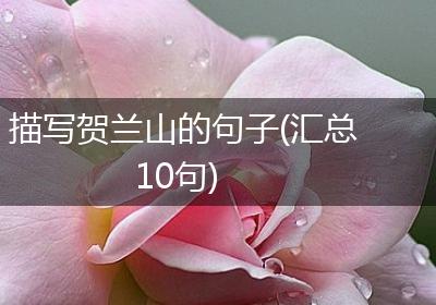 描写贺兰山的句子(汇总10句)