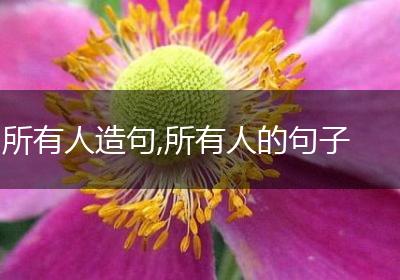 所有人造句,所有人的句子