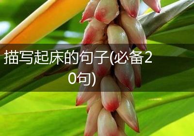描写起床的句子(必备20句)
