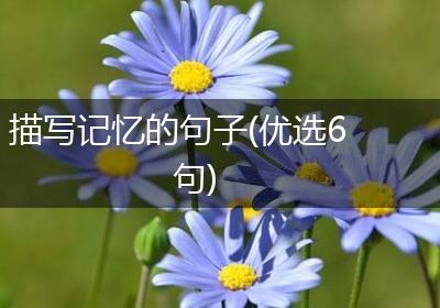 描写记忆的句子(优选6句)