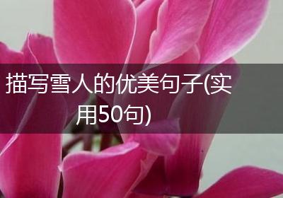 描写雪人的优美句子(实用50句)