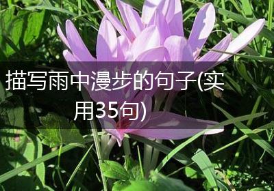 描写雨中漫步的句子(实用35句)