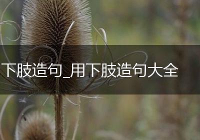 下肢造句_用下肢造句大全