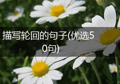 描写轮回的句子(优选50句)