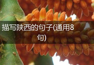 描写陕西的句子(通用8句)
