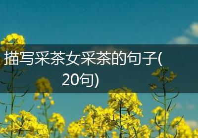 描写采茶女采茶的句子(20句)
