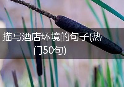 描写酒店环境的句子(热门50句)