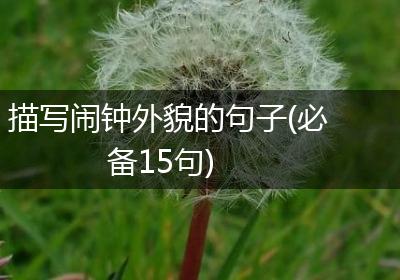 描写闹钟外貌的句子(必备15句)