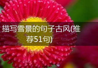 描写雪景的句子古风(推荐51句)