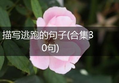 描写逃跑的句子(合集30句)
