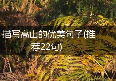 描写高山的优美句子(推荐22句)