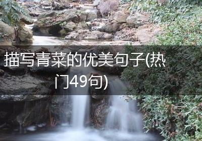 描写青菜的优美句子(热门49句)
