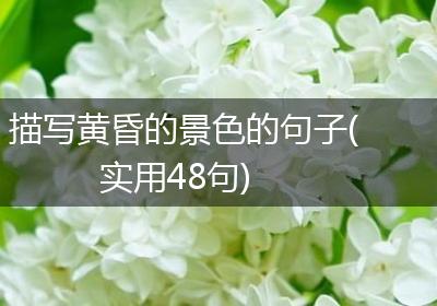 描写黄昏的景色的句子(实用48句)