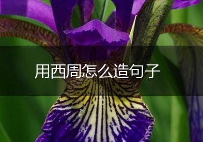 用西周怎么造句子